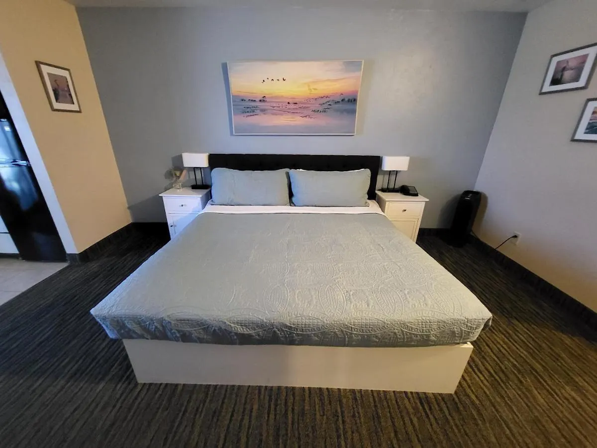Beachside Hotel - Daytona Beach - No Pool